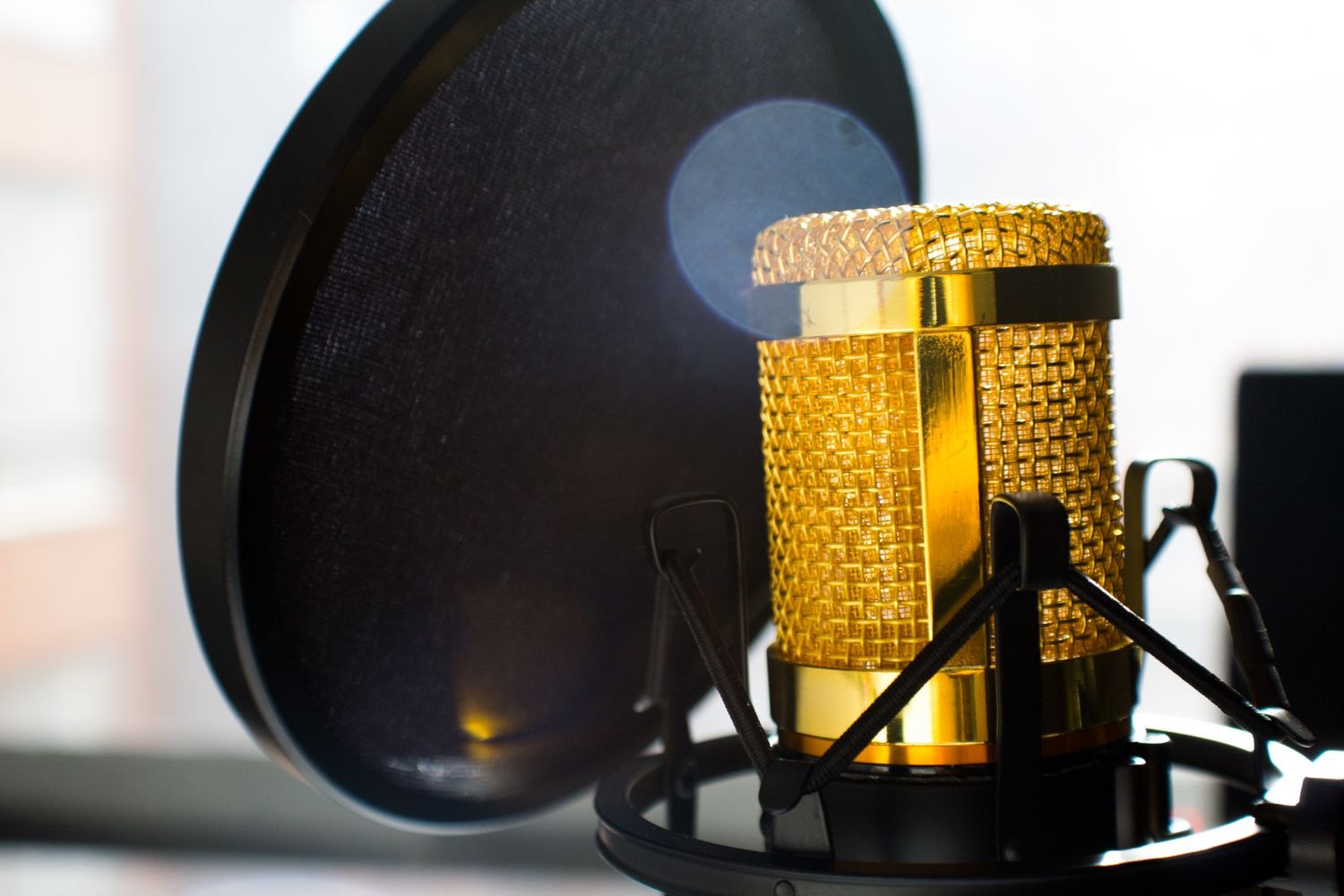 A pop filter in front of a condenser microphone.